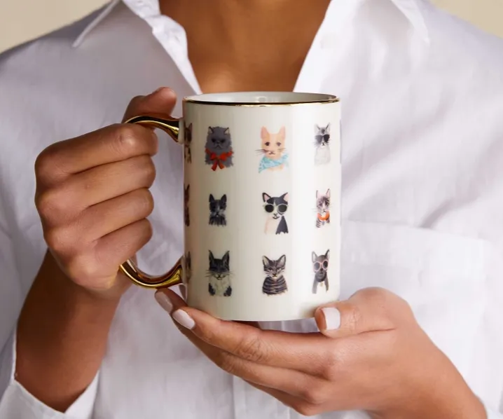 Cool Cats Porcelain Mug