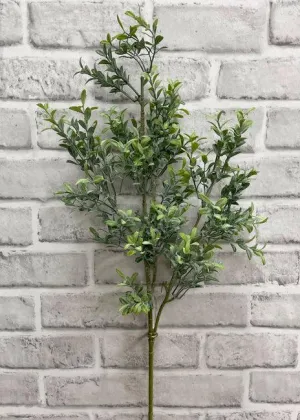 Dusted Mini Leaf Boxwood Spray