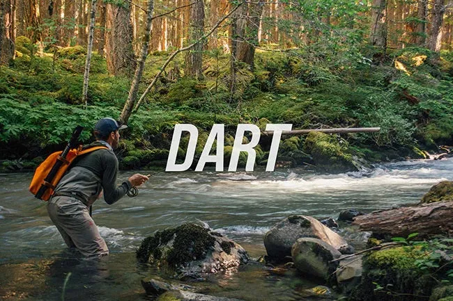 Sage Dart Fly Rod